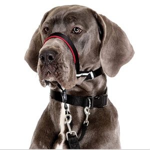 HALTI Optifit Headcollar- No Pull Opti fit Head Collar Dogs